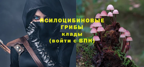 круглые Алексеевка