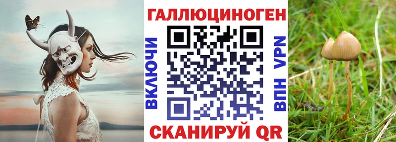 omg как зайти  где продают наркотики  Яровое  Галлюциногенные грибы ЛСД 